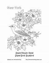 Bird Oklahoma Redbud Wordsearch Tqn Fthmb Homeschooling Crossword sketch template