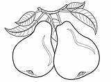 Pears Peras Pintar sketch template