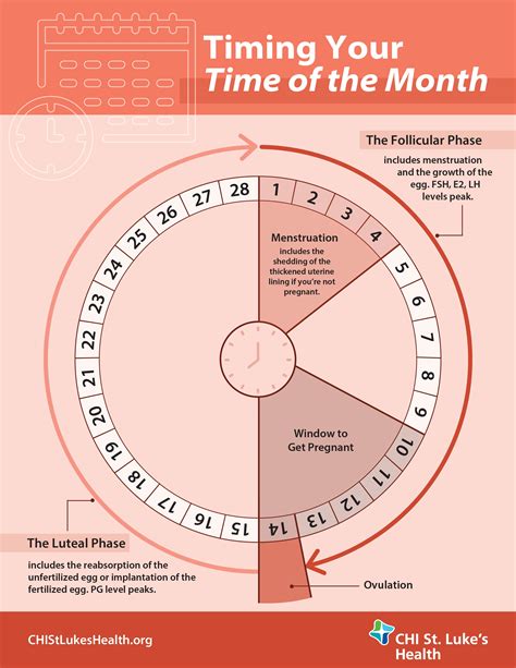 A Womans Guide To Her Menstrual Cycle St Lukes Health St Lukes