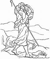 Sheep Parable Carrying Shepherds 색칠 Colorear Cocuklar Resim 비유 공부 잃은 Schafe Hirten Colorin 1016 sketch template