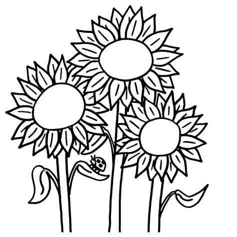 thousands  printable coloring pages books