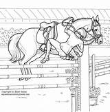Jumping Equestrian Showjumping Getcolorings Realistic Dressage Getdrawings sketch template
