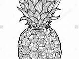 Coloriage Ananas Facile Pineapple Zentangle Por Coloring Pdf Etsy Danieguto Size Handphone sketch template