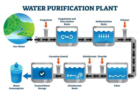 water purification plant filtration process explanation vector illustration vectormine