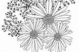 Coloring Pages Flowers Spring Printable Fun Summer 30seconds Mom Print sketch template