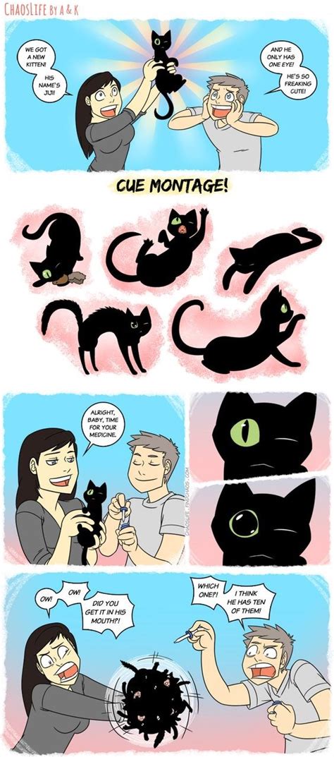 9 New Comics All Cat Owners Will Understand I Can Has