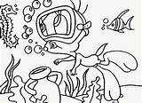Verano Colorear Wasser Titi Stampare Ausmalen Seahorse Hippocampe Titti Vacaciones Hippocampes Tweety Disegno Plongee Educación Supercoloring Cole Fichas Ausmalbild Sull sketch template