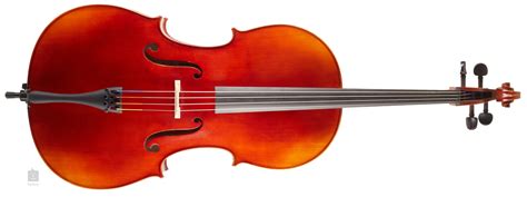 gewa ideale violoncello set  violoncello