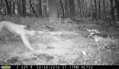 trailcam naked man on lsd who believed he was tiger