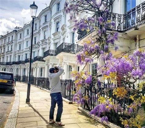 wisteria hysteria hits london the best pics from instagram londonist