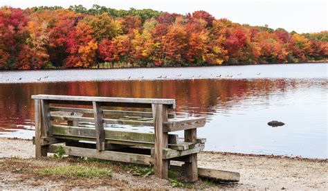 the best places to see fall foliage in long island