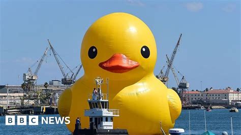 canada 150 giant duck s cost prompts ontario row bbc news