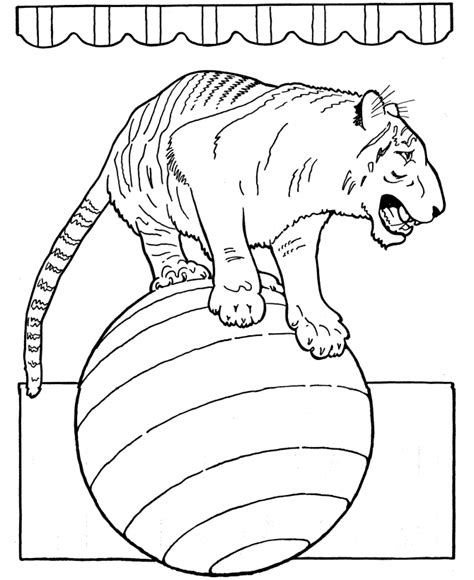 animal coloring pages  kids  coloring pages coloring home