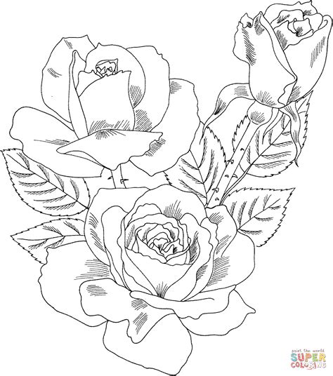 intricate rose coloring page coloring home