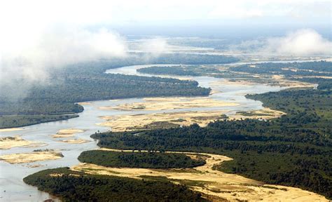 experience  rufiji river boat safari tanzania art  safari