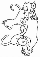 Colorat Pisici Chats Animale Planse Katze Desene P14 Gatti Gatto Primiiani Ausmalbild Ludinet Gifgratis Prend sketch template