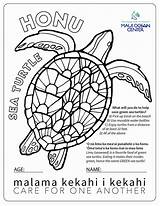 Honu Moc sketch template