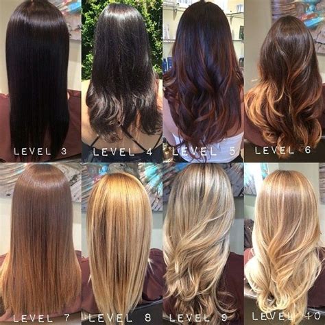 aveda color chart google search mehr levels  hair color hair levels aveda hair color hair