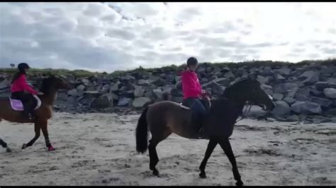horse rearing youtube