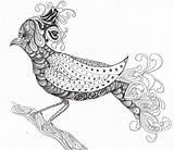 Coloring Zentangle Pages Popular sketch template