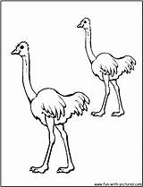 Emu Coloring Pages Australian Kids Animals Printable Print Colouring Getcolorings Fun Color sketch template