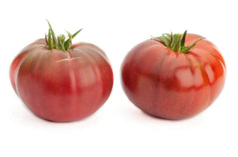 tomatensorte tomatensorte