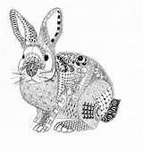 Coloring Zentangle Pages Rabbit Bunny Patterns Ben Kwok Mandala Fluffy Choose Board Drawings Visit Coloriage Adult Animals 1000 Easter Efie sketch template