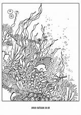 Ocean Pages Sea Colouring Under Coral Reef Drawing Coloring Printable Book Zentangle Reefs Choose Board sketch template
