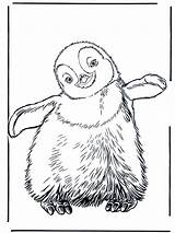 Penguin Coloring Pages Kids Printable Print Emperor Happy Baby Feet Penguins Cute Pinguin Animals Bestcoloringpagesforkids Animal Zoo Club Funnycoloring Drawing sketch template