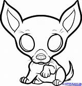 Chihuahua Coloring Pages Dog Puppy Drawing Draw Pomeranian Step Color Puppies Cute Chiwawa Kids Printable Chihuahuas Drawings Cartoon Dragoart Animal sketch template