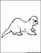 Otter Otters Cartoon Ausmalbild Getcolorings sketch template