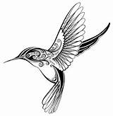 Hummingbird Hummingbirds Humming Colibris Colibri Vorlagen Clipartmag Kolibri Zentangle Selling Momentaryink sketch template