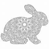Rabbit Mandalas Coloringbuddy sketch template