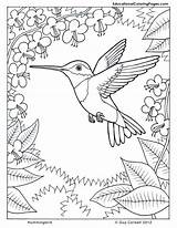 Pollinator Hummingbird Fullsize sketch template