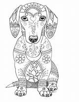 Coloring Pages Dog Dogs Adults Adult Puppy Animal Printable Cute Mandala Sheets Book Colouring Cats Dachshund Color Print Templets Beautiful sketch template