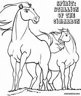 Stallion Cimarron Caballos sketch template