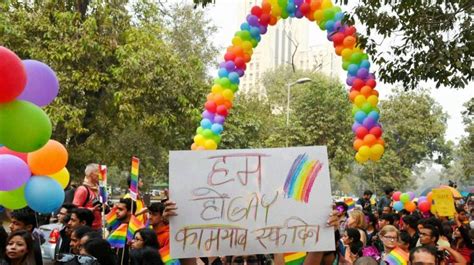 is homosexuality a crime sc to deliver verdict on section