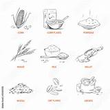 Rye Oat Cereals Groats Porridge Cornflakes Muesli Buckwheat Millet Barley Thehungryjpeg Dateien Herunterladen ähnliche Grains sketch template