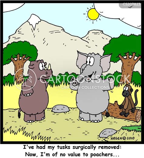 ivory tusks cartoons and comics funny pictures from