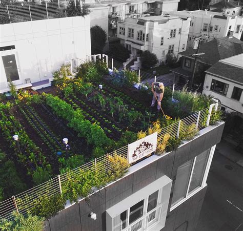 rooftop garden ideas urban gardens  eathappyproject
