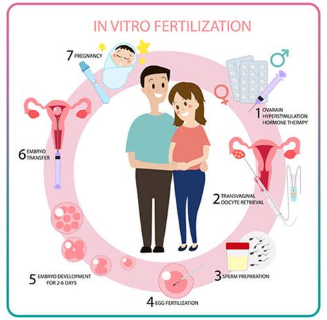 What Is Ivf Ivf Procedure And How It Works Hayatmedtour