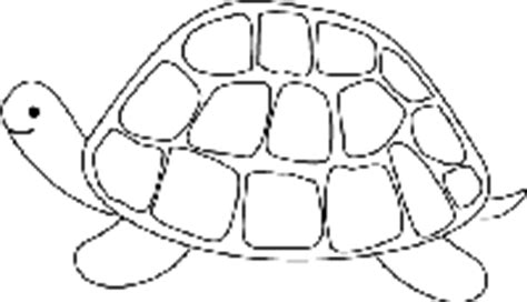 turtle coloring sheet