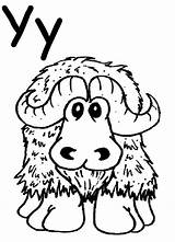 Yak Preschool Helper Homeschool Letters Cattle sketch template