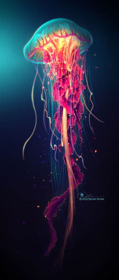 beautiful jellyfish drawings