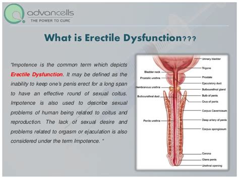 erectile dysfunction treatment stem cell treatment for erectile dys…