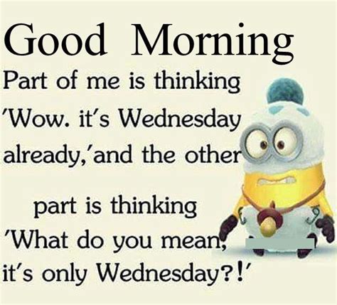 Good Morning Funny Minion Wednesday Quote Pictures Photos