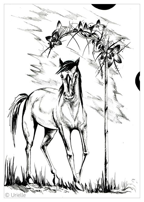 majestic horse horses adult coloring pages