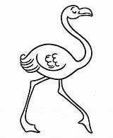 Flamingo Ausmalbilder Flamingos Flamencos Ausmalen Colorir Caminhando Kostenlose Malvorlagen Drawings Coloringtop Printen Tudodesenhos Schablonen Divertidos Bunte Buch Silke Kunst Honkingdonkey sketch template