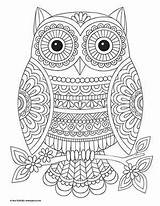 Mandala Owl Coloriage Chouette Mandalas Imprimer Hibou Jess Volinski Eule Imprimir Boyama Malvorlage Malen Ausmalbilder Malbuch Beginner Erwachsene Kaynak Bitkitohumu sketch template