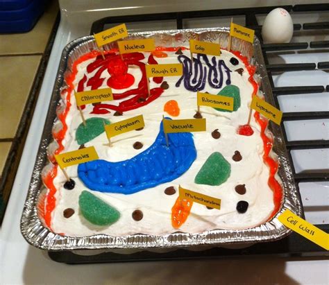 ideal edible plant cell project ideas